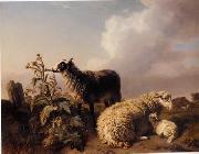 unknow artist Sheep 082 china oil painting reproduction